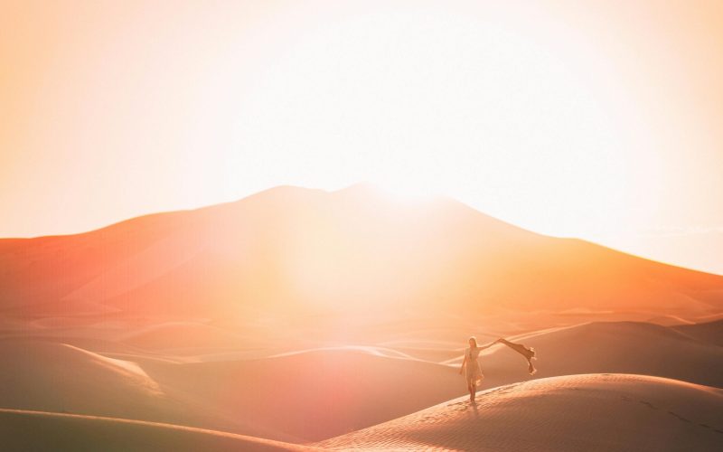 pexels-taryn-elliott-3889894